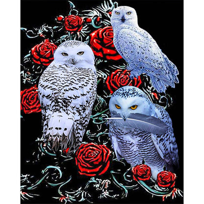 Three Bald Owls - Full Square Drill Diamond Painting 40*50CM