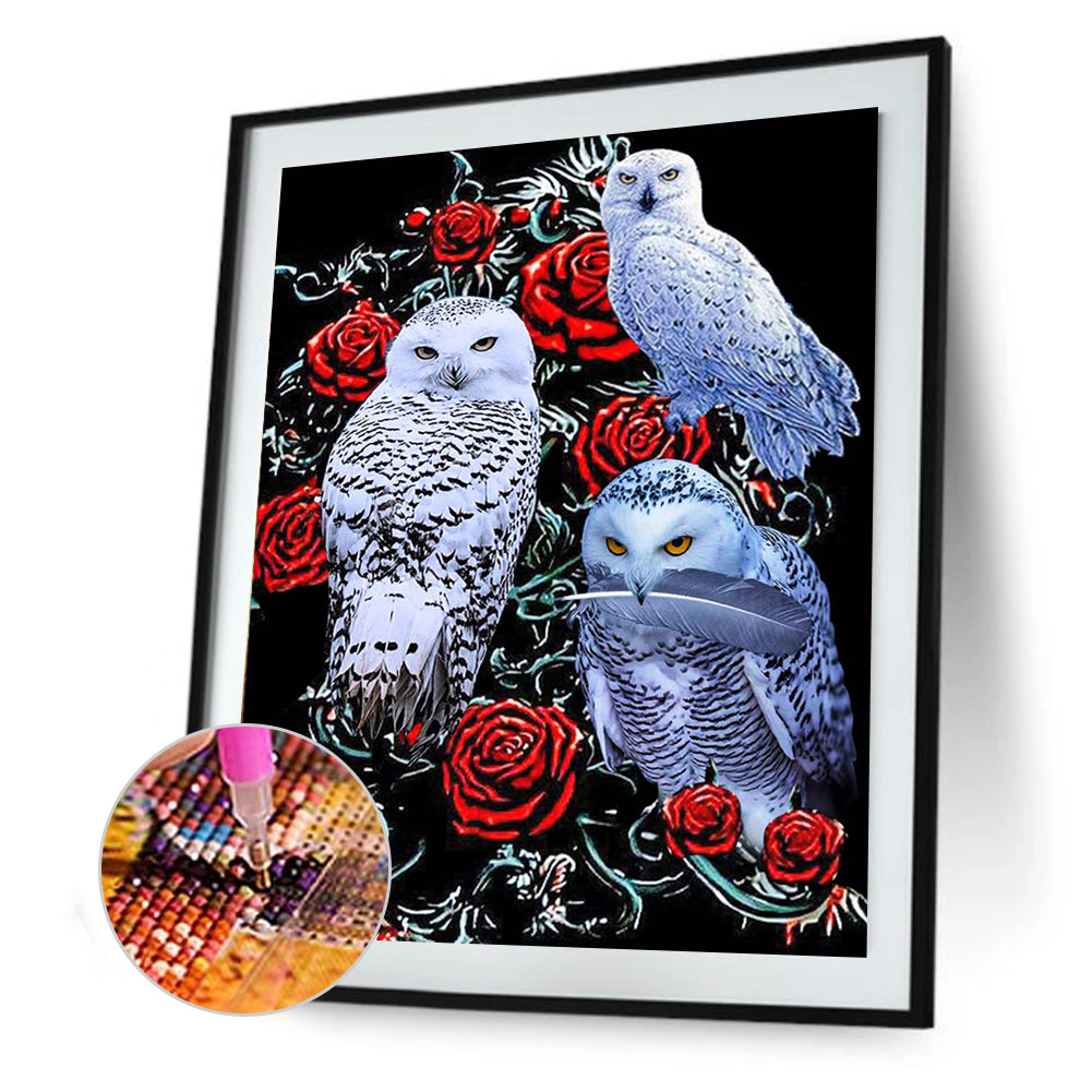 Three Bald Owls - Full Square Drill Diamond Painting 40*50CM