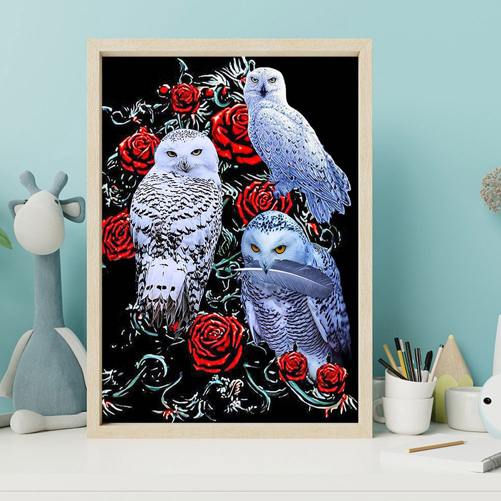 Three Bald Owls - Full Square Drill Diamond Painting 40*50CM