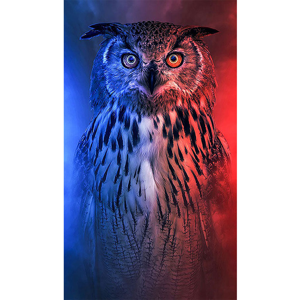 Red And Blue Owl - Full Round Drill Diamond Painting 40*70CM