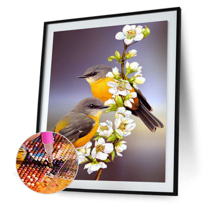 Robin Bird - Full Round Drill Diamond Painting 30*40CM