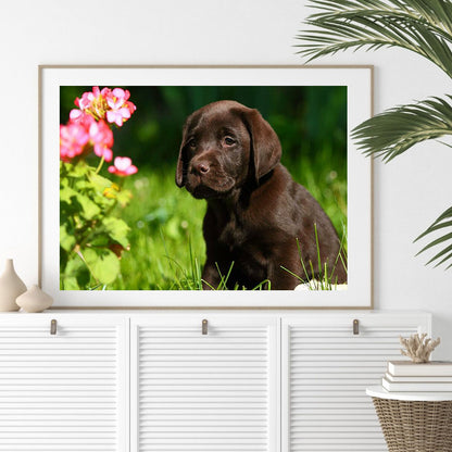 Labrador - Full Round Drill Diamond Painting 40*30CM