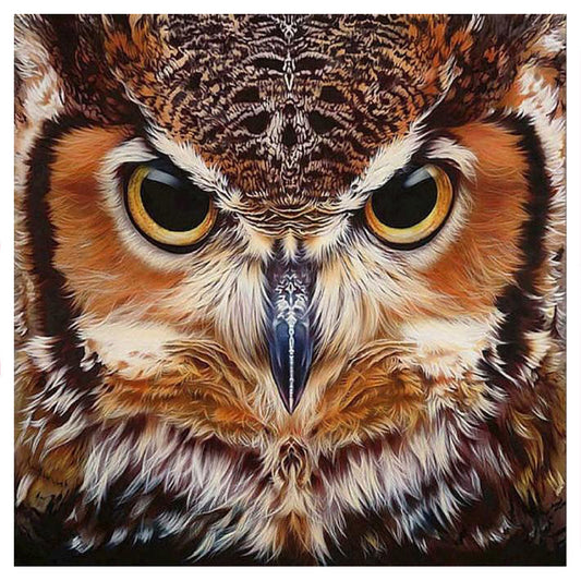 Owl - Full Square Drill Diamond Painting 40*40CM