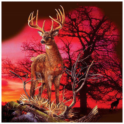 Elk In The Forest - Full Square Drill Diamond Painting 40*40CM