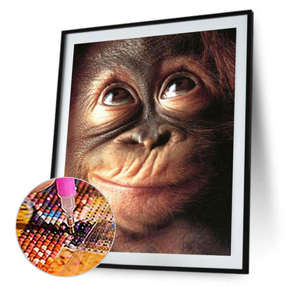 Chimpanzees - Full Round Drill Diamond Painting 30*40CM