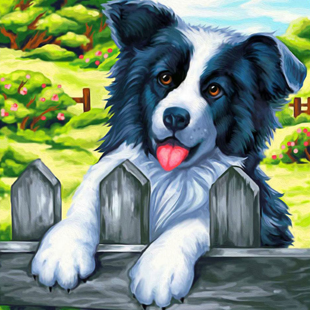 Border Shepherd Lying On The Fence - Full Square Drill Diamond Painting 50*50CM