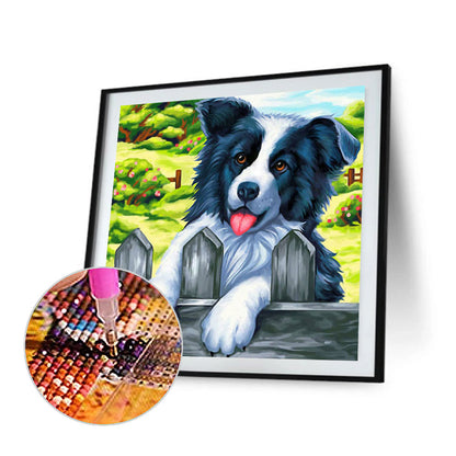 Border Shepherd Lying On The Fence - Full Square Drill Diamond Painting 50*50CM