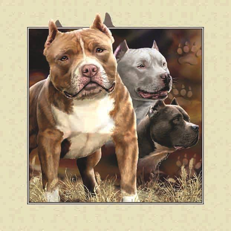 Pug Outside The Frame - Full Round Drill Diamond Painting 30*30CM
