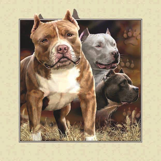 Pug Outside The Frame - Full Round Drill Diamond Painting 30*30CM