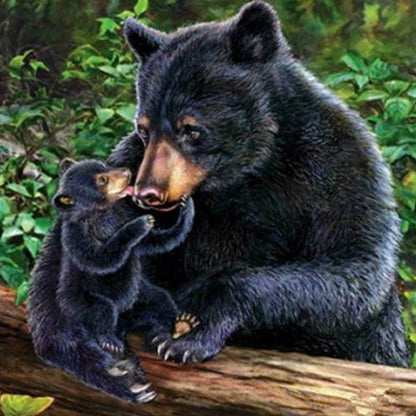 Big Black Bear - Full Round Drill Diamond Painting 40*40CM