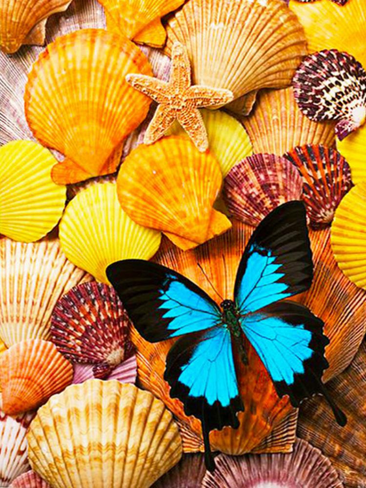 Seashell Butterfly - Full Round Drill Diamond Painting 50*60CM