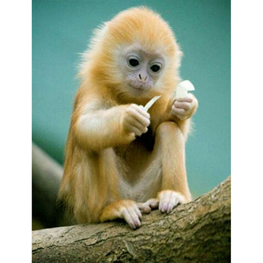 Golden Monkey - Full Round Drill Diamond Painting 50*60CM