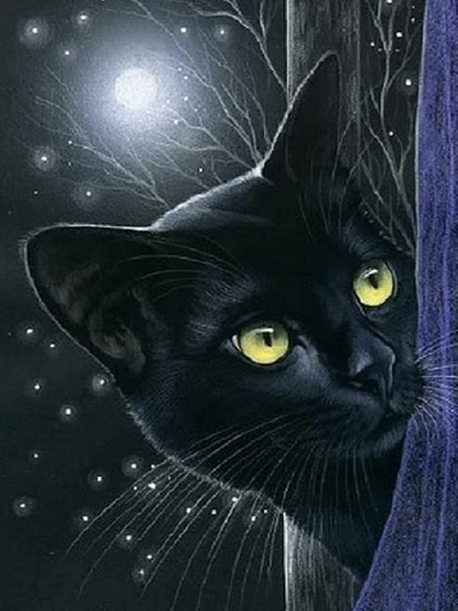 Black Cat - Full Round Drill Diamond Painting 30*40CM