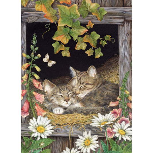 Civet Cat - Full Round Drill Diamond Painting 30*40CM