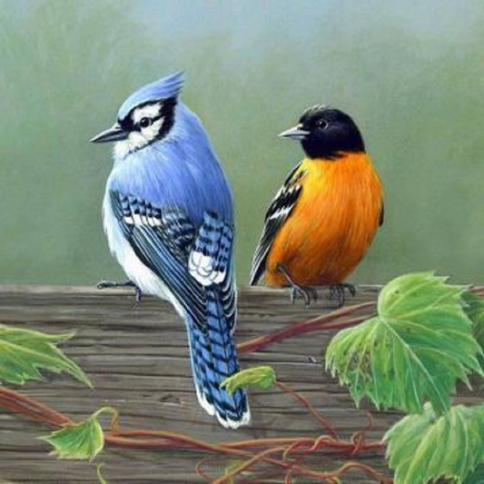 Blue Robin - Full Round Drill Diamond Painting 30*30CM