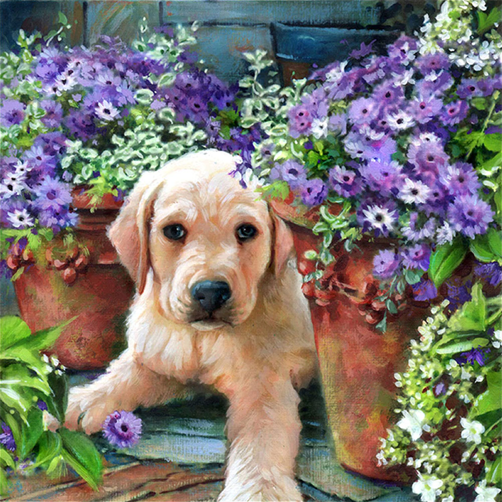 Garden Dog - Full Round Drill Diamond Painting 50*50CM