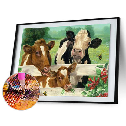 Farm Cow - Full Square Drill Diamond Painting 60*50CM