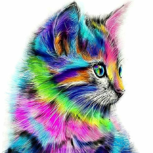 Colorful Cat - Full Square Drill Diamond Painting 50*50CM