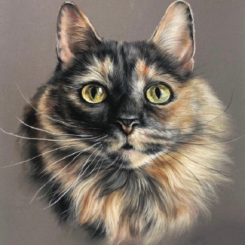 Tortoiseshell Cat - Full Round Drill Diamond Painting 30*30CM