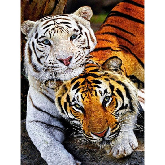 Two Tigers - Full Square Drill Diamond Painting 40*50CM