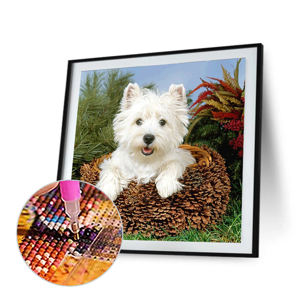 West Highland Dog - Full Square Drill Diamond Painting 40*40CM