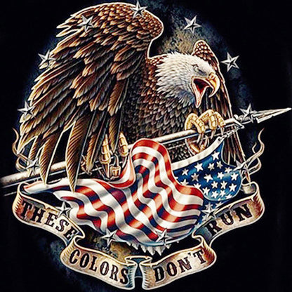 American Eagle - Full Round Drill Diamond Painting 50*50CM