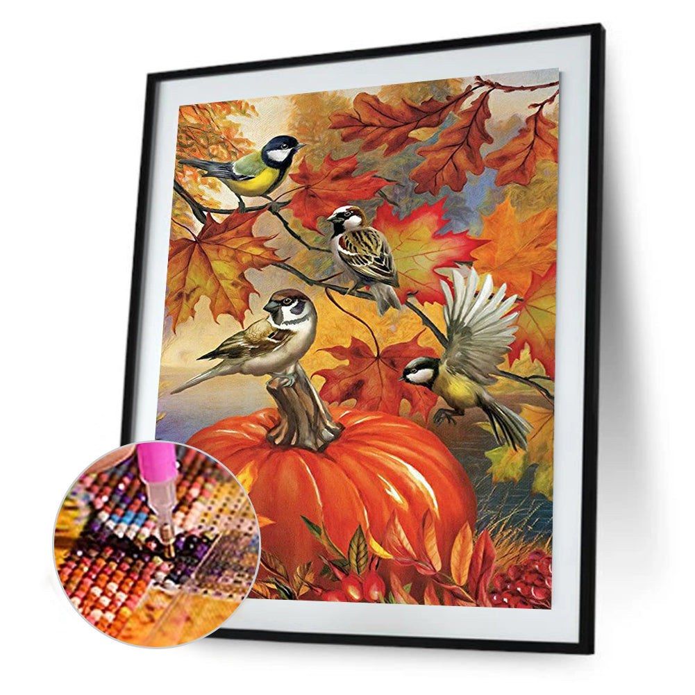 Pumpkin Bird - Full Square Drill Diamond Painting 30*40CM