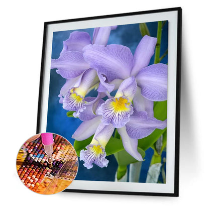 Iris - Full Round Drill Diamond Painting 30*40CM