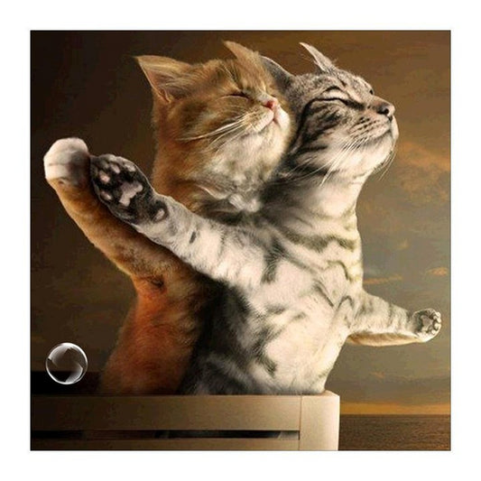 Titanic Cat - Full Round Drill Diamond Painting 30*30CM