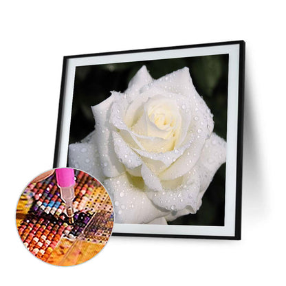 White Rose - Full Round Drill Diamond Painting 30*30CM