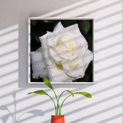 White Rose - Full Round Drill Diamond Painting 30*30CM