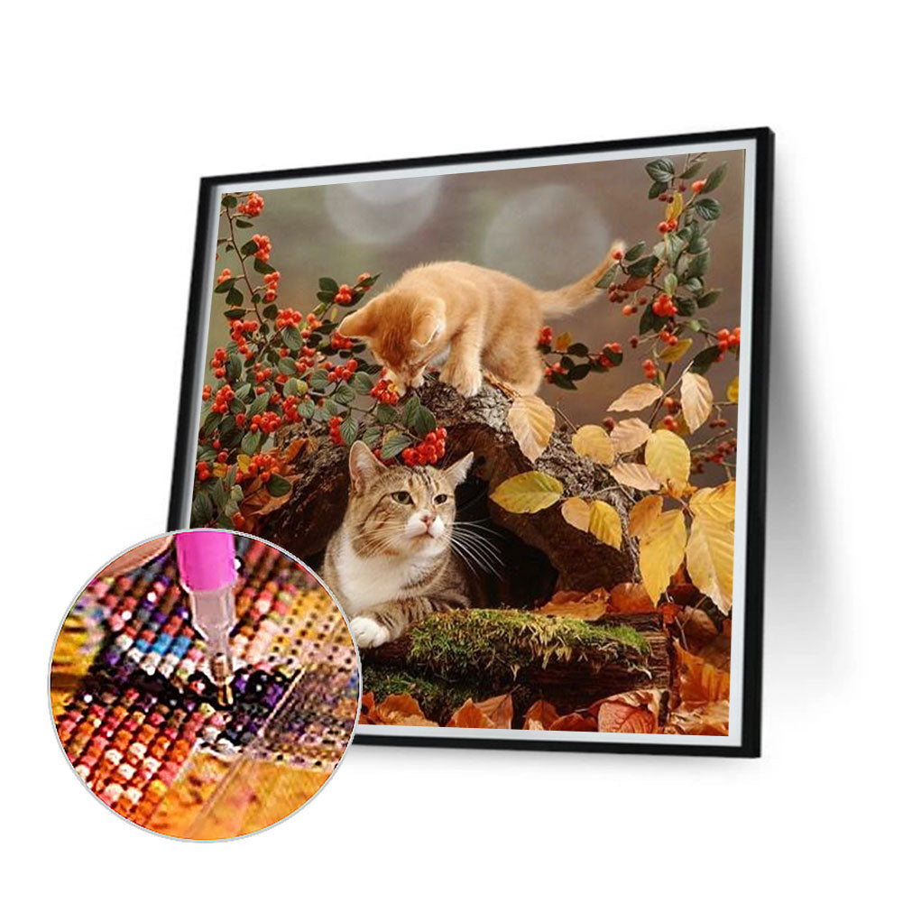 Kitten In Cave - Full Square Drill Diamond Painting 40*40CM