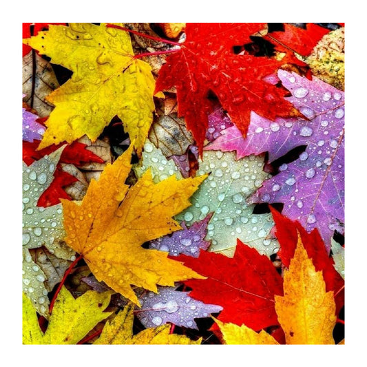 Colorful Maple Leaves 30*30CM(Canvas) Full Square Drill Diamond Painting