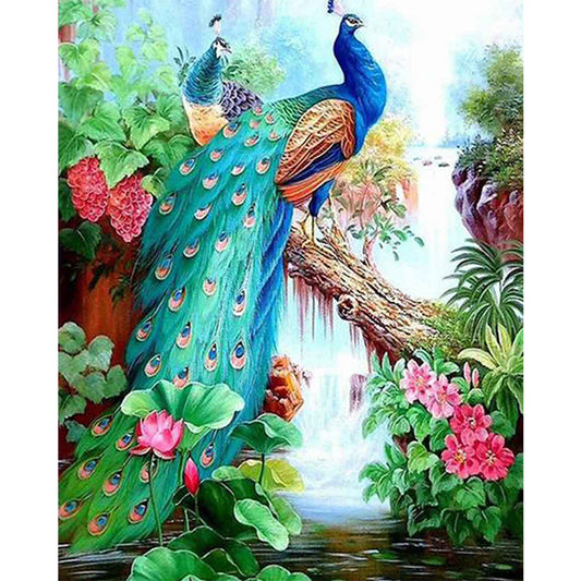 Peacock 50*60CM(Canvas) Full Square Drill Diamond Painting