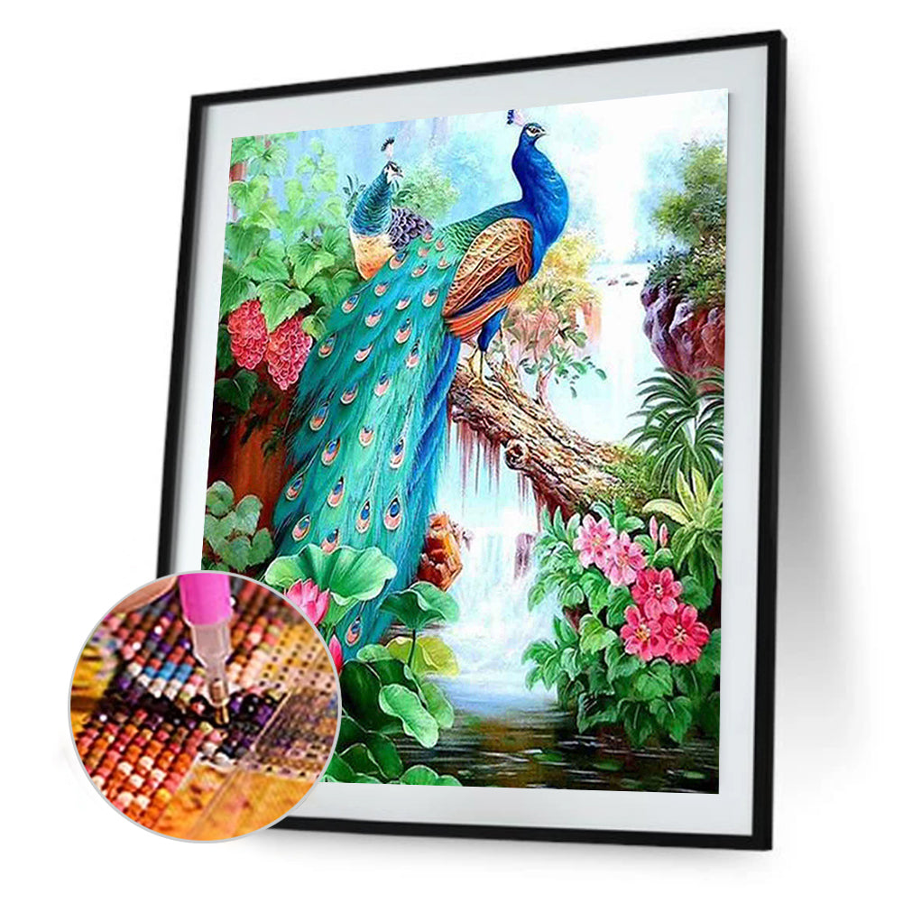 Peacock 50*60CM(Canvas) Full Square Drill Diamond Painting