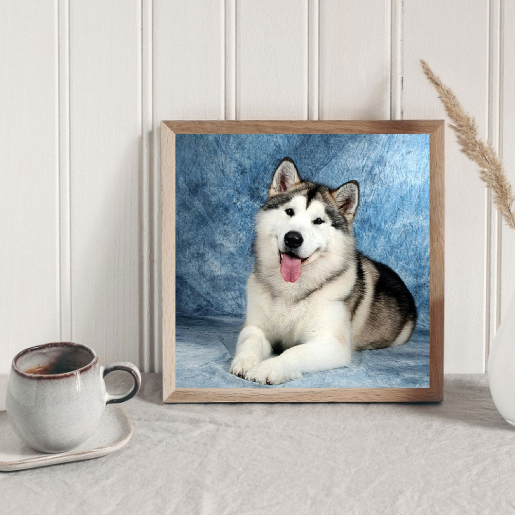 Husky - Full Round Drill Diamond Painting 40*40CM