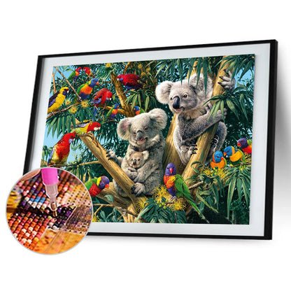 Koala On Tree - Full Square Drill Diamond Painting 40*30CM