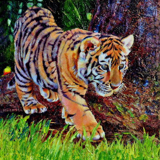 Tiger - Full Round Drill Diamond Painting 30*30CM