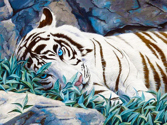 White Tiger - Full Round Drill Diamond Painting 40*30CM