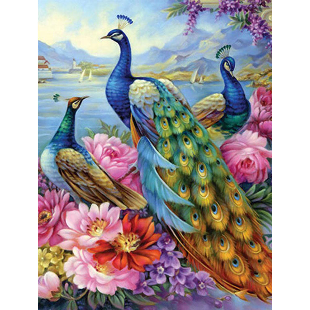 Peacock - Full Round Drill Diamond Painting 40*50CM