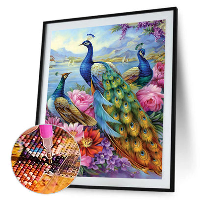 Peacock - Full Round Drill Diamond Painting 40*50CM