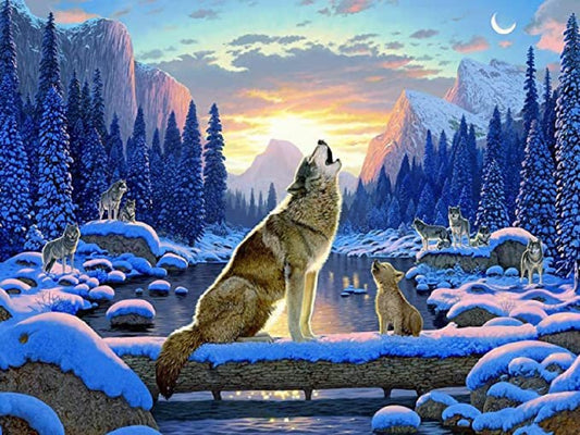 Snow Wolf - Full Round Drill Diamond Painting 40*30CM