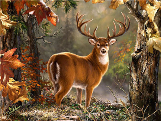 Deer In The Forest - Full Square Drill Diamond Painting 50*40CM