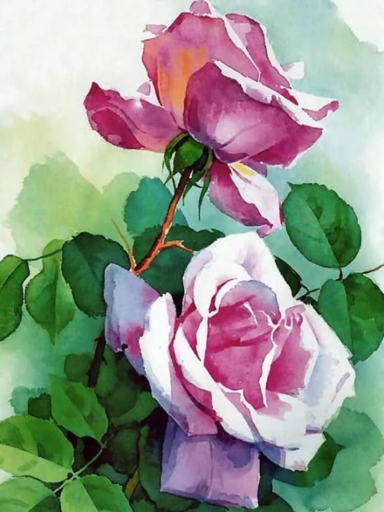 Rose Flower 30*40CM(Canvas) Full Round Drill Diamond Painting