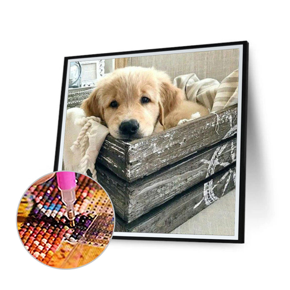 Puppy 40*40CM(Canvas) Full Square Drill Diamond Painting