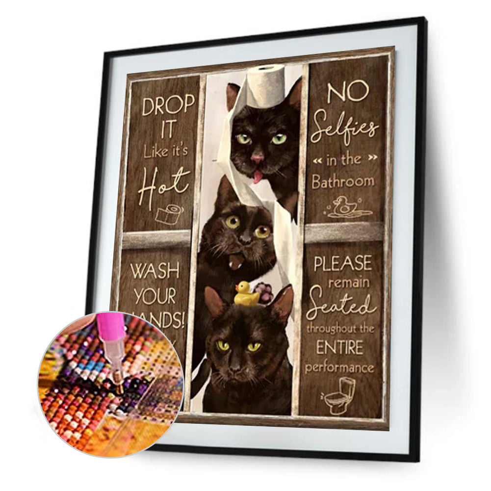 Three Cats English Calligraphy 45*60CM(Canvas) Full Square Drill Diamond Painting