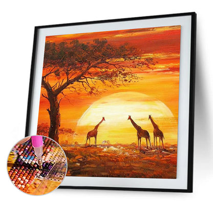 Giraffe - Full Square Drill Diamond Painting 30*30CM