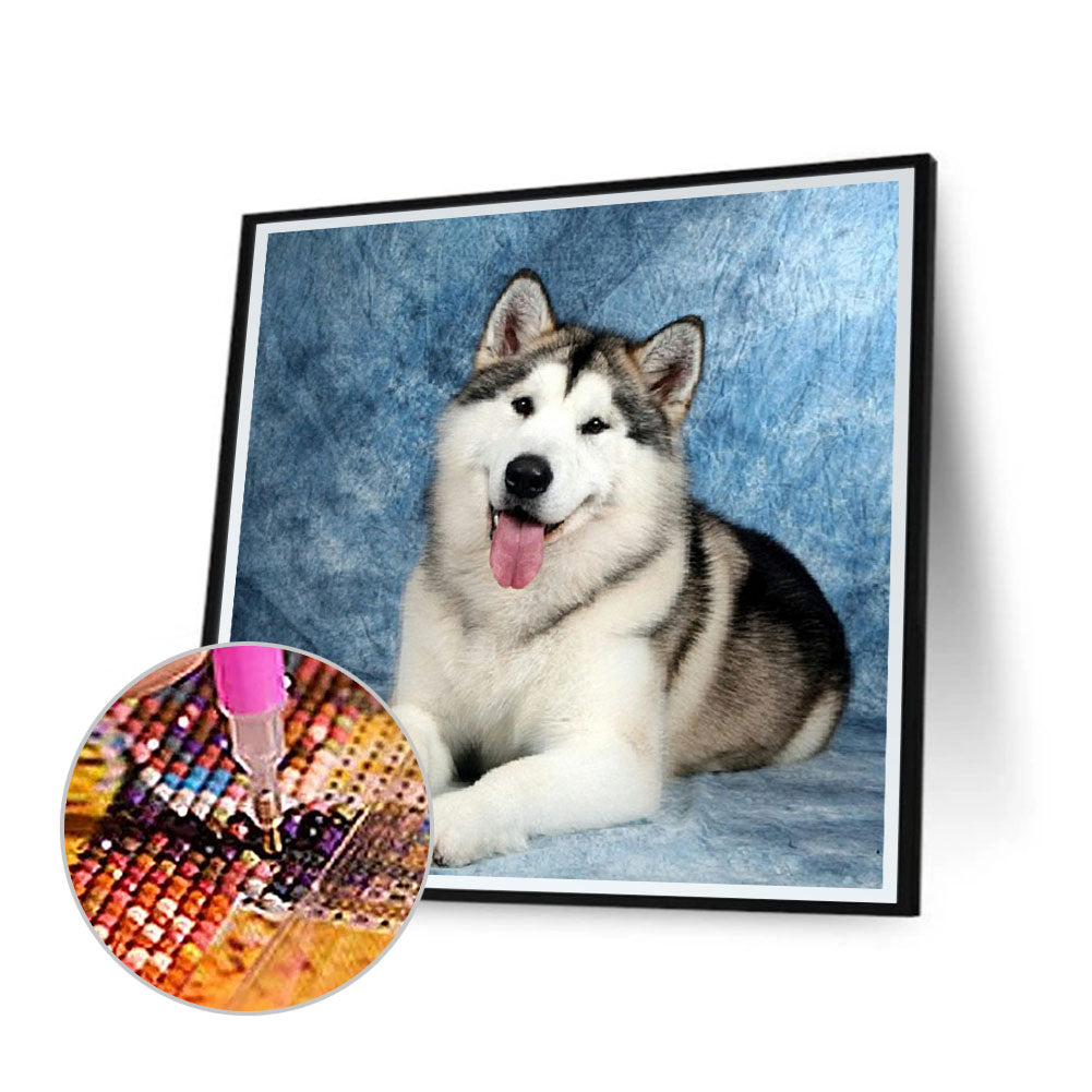 Husky Lying Down 40*40CM(Canvas) Full Square Drill Diamond Painting