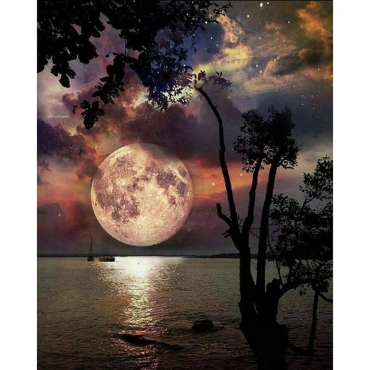 Moonlit Night - Full Round Drill Diamond Painting 40*50CM