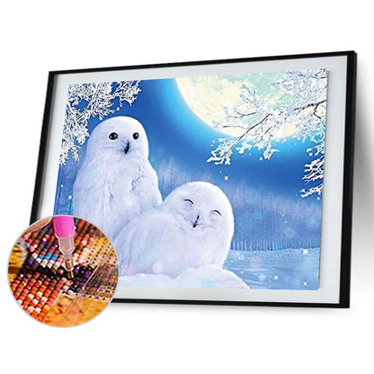 Snow Owl - Full Round Drill Diamond Painting 40*30CM